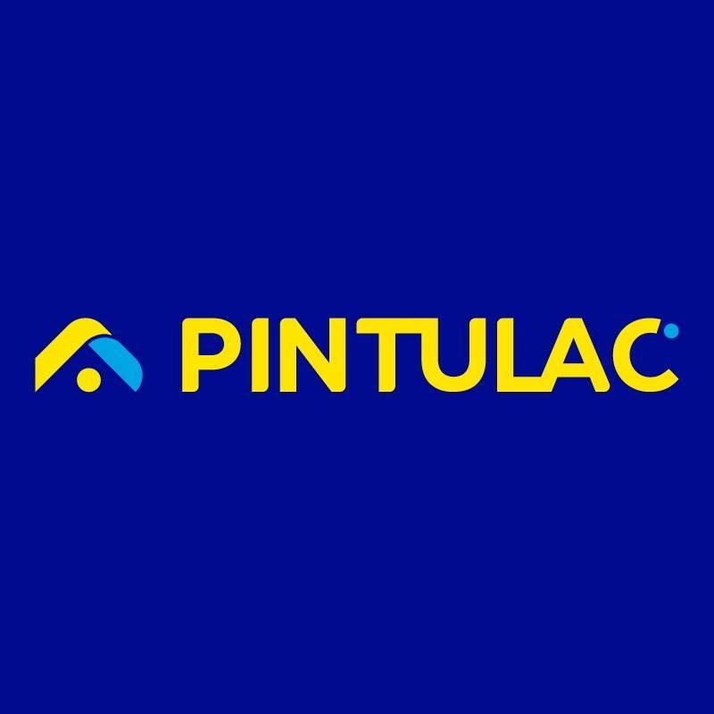 pintulac logo